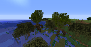 mangrove