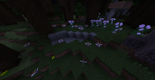 eyeblossom oppen