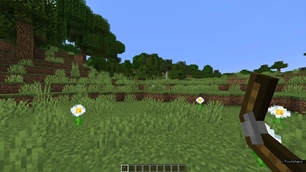 First Person