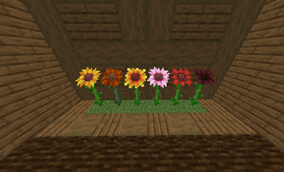 6 Main Sunflowers.png