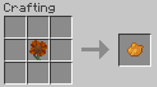 Autumn Sunflower Into Orange Dye.png