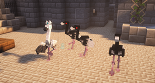 Silver Flamingo and the Black Flamingo guardians