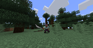 Player holding a Saber