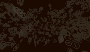 PymTech Microscopic
