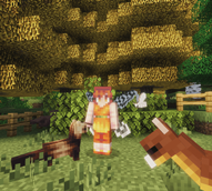 Animal Fairy