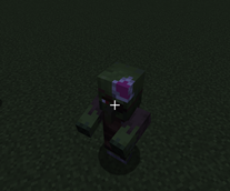 7.png