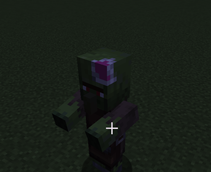 8.png
