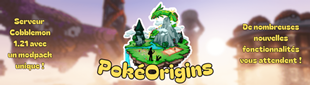 POKE (2) (4).png