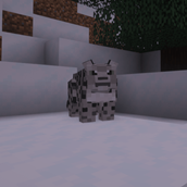 Snow Leopard