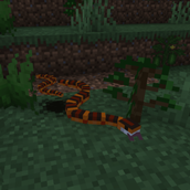 a snake and her baby