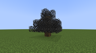 Coal Tree