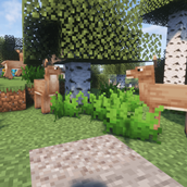 Deer herd