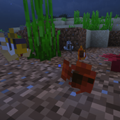 Clownfish