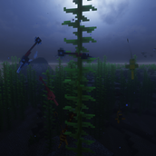 Pipefish colony
