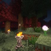 Forest At Night