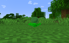 cantaloupe.png