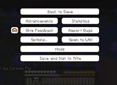 Settings In Game
