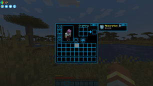 Survival Inventory