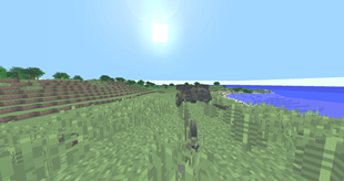 2025-08-11_19.28.04.png
