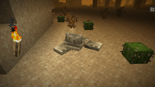 Screenshot 2025-08-20 031757.png