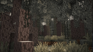 Screenshot 2025-08-20 030010.png