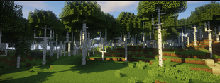 Screenshot 2025-08-20 025802.png