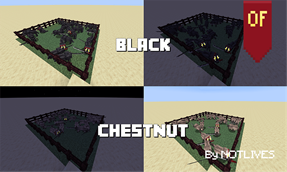 black-chestnut