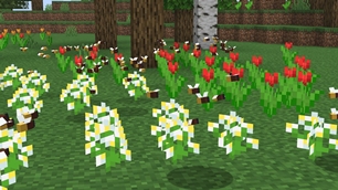 White Flowers
