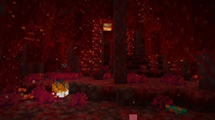 Crimson Forest