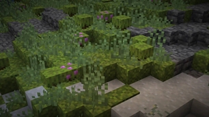 Lush Caves (Ground)