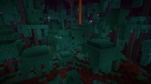 Warped Forest