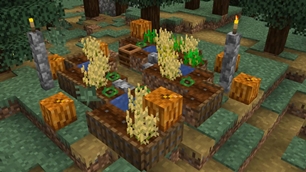 Village Farm