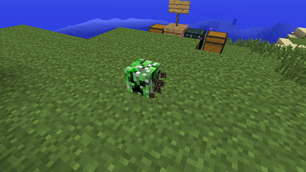 Skulls and heads are suported