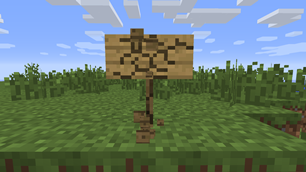 Models wider then 16 pixels (such as signs) are supported