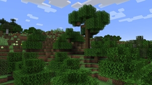 Forest (delight)
