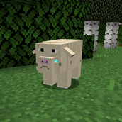 squonk.png