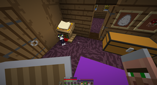 Villager with no job in hand