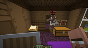 Villager with job and storage item in hand