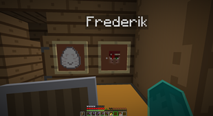 VillagerItem in Item Frame