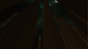 foret sombre de sapin