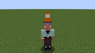 Traffic Cone On Head.png