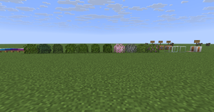 Custom Models of Leaves and Custom Texture of Gold Block