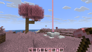Beacon