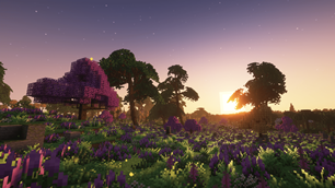 Twilight of Meadow