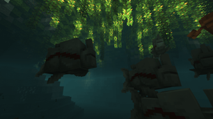 image_06.png
