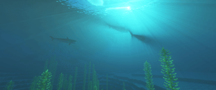 image_09.png