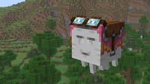 Pink Happy Ghast