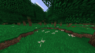big forest 03