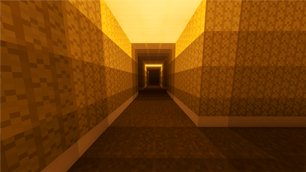 Level 0