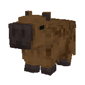 Capybara
